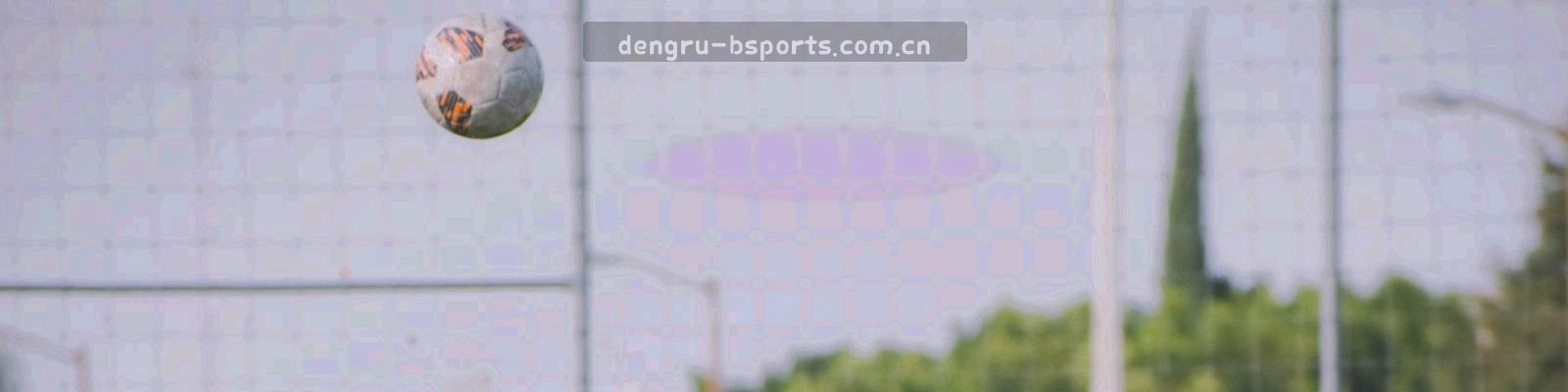 由锁盾和数据线条组成的抽象防护图案