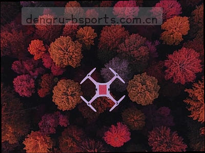 帮助中心客服与信息卡片的抽象组合图示